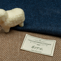 意大利维达莱 VBC 为 H.O.P.E 系列推出比耶拉（Biellese）羊毛新品 可持续面料的阿尔卑斯溯源之旅