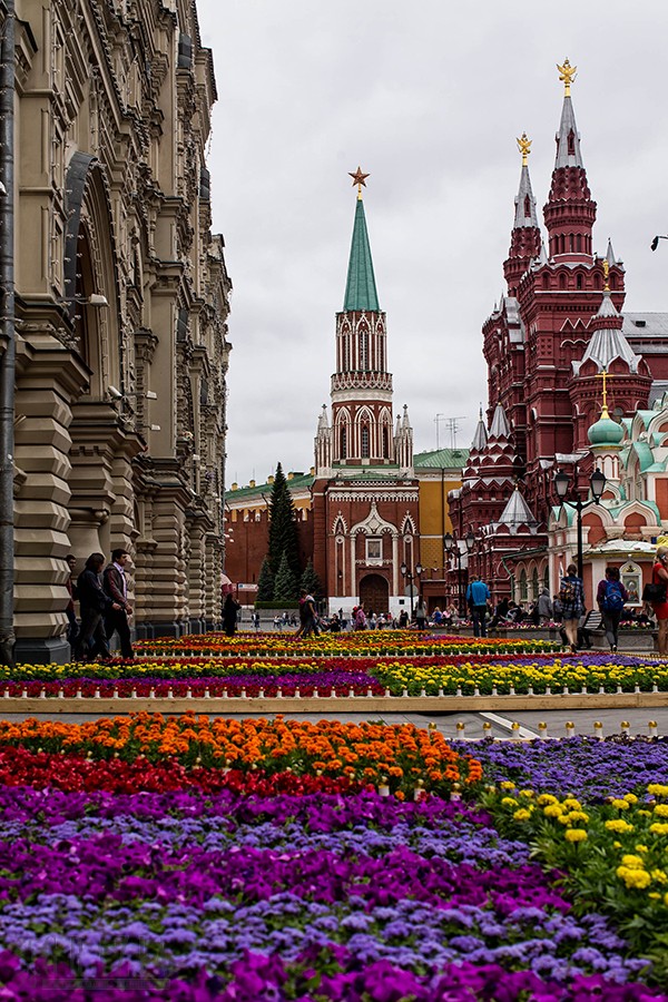 Danil Kolodin_Bosco Flowers_high_DKOL9506 (1).jpg