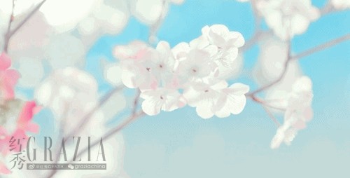 4.GIF