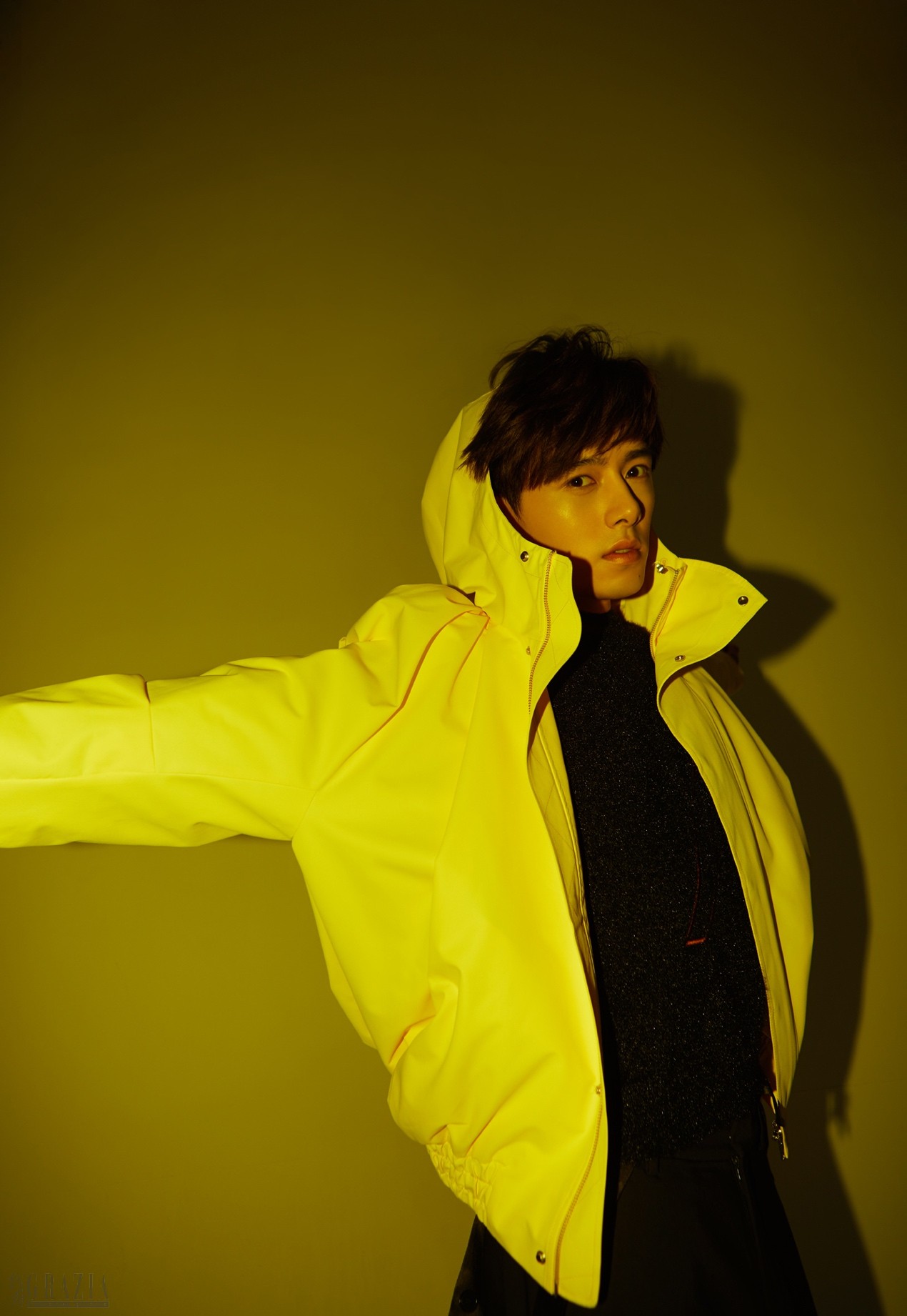 razox20190131170105.jpg image009.jpg