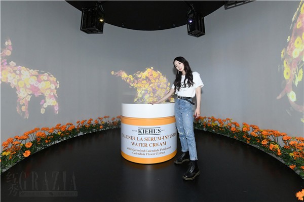 11. 在金盏花加工厂中，pick你的专属K星小宠物.jpg