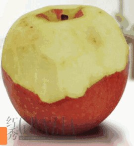 1.gif