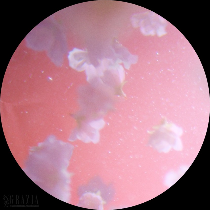 karpx20200327140114.jpg 微信图片_20200327135429.jpg