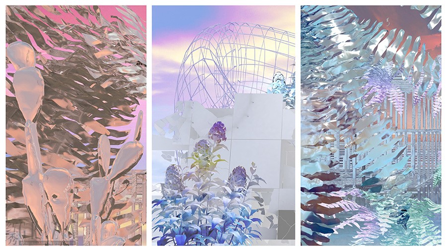 hhxyx20210111181056.jpg IMG_0366.jpg