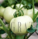 image004.gif
