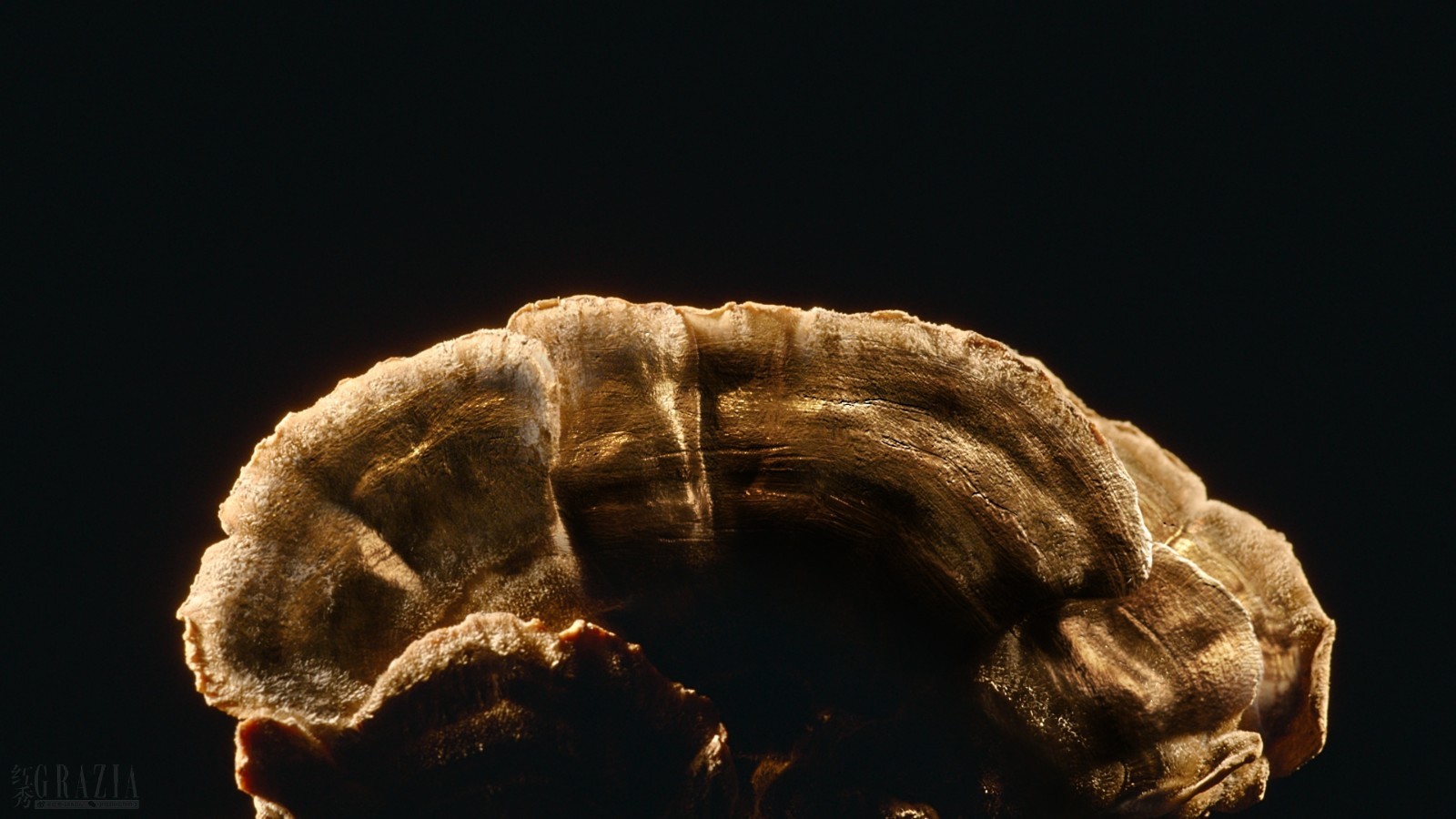 ycdeo20210506172837.jpg 微信图片_20210506165218.jpg