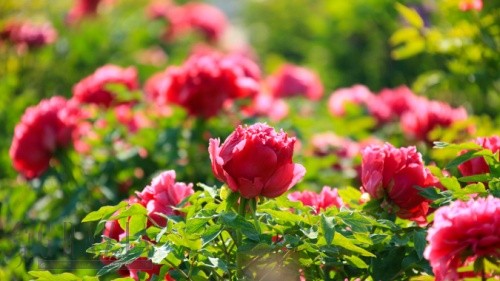 pgbul20211105231733.jpeg 6184baff0dcc9.png.jpeg