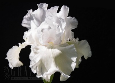 截屏2022-07-05 下午12.37.45.png