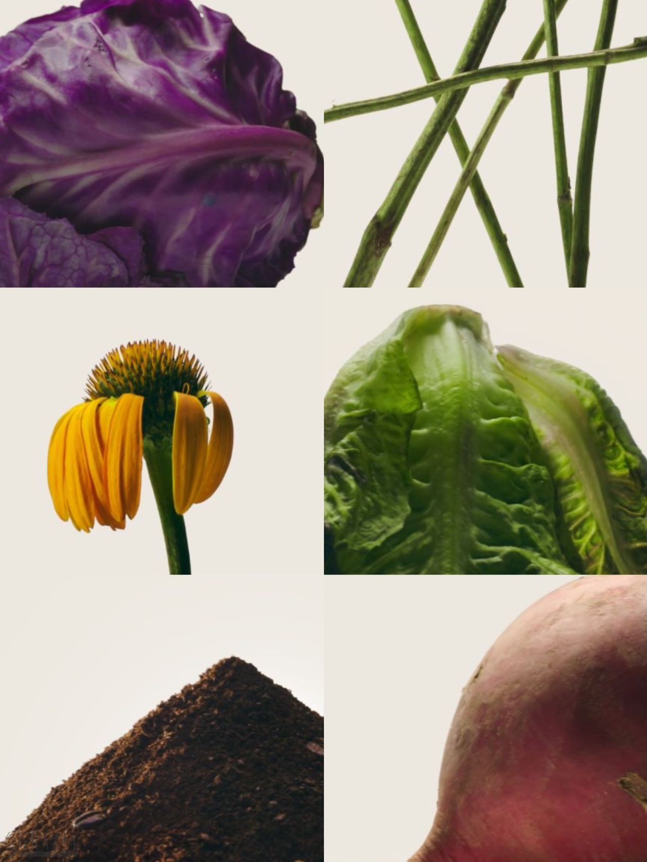 oqsvo20230407184458.jpeg 0C7B639C-4E1D-479F-81AB-888E6A29F798.jpeg