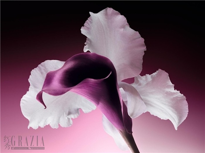 kysjg20230728212510.jpg 2023072819080327.006.jpg