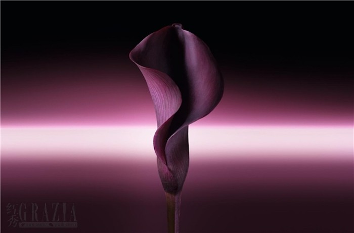 vwoqh20230728212456.jpg 2023072819080327.004.jpg