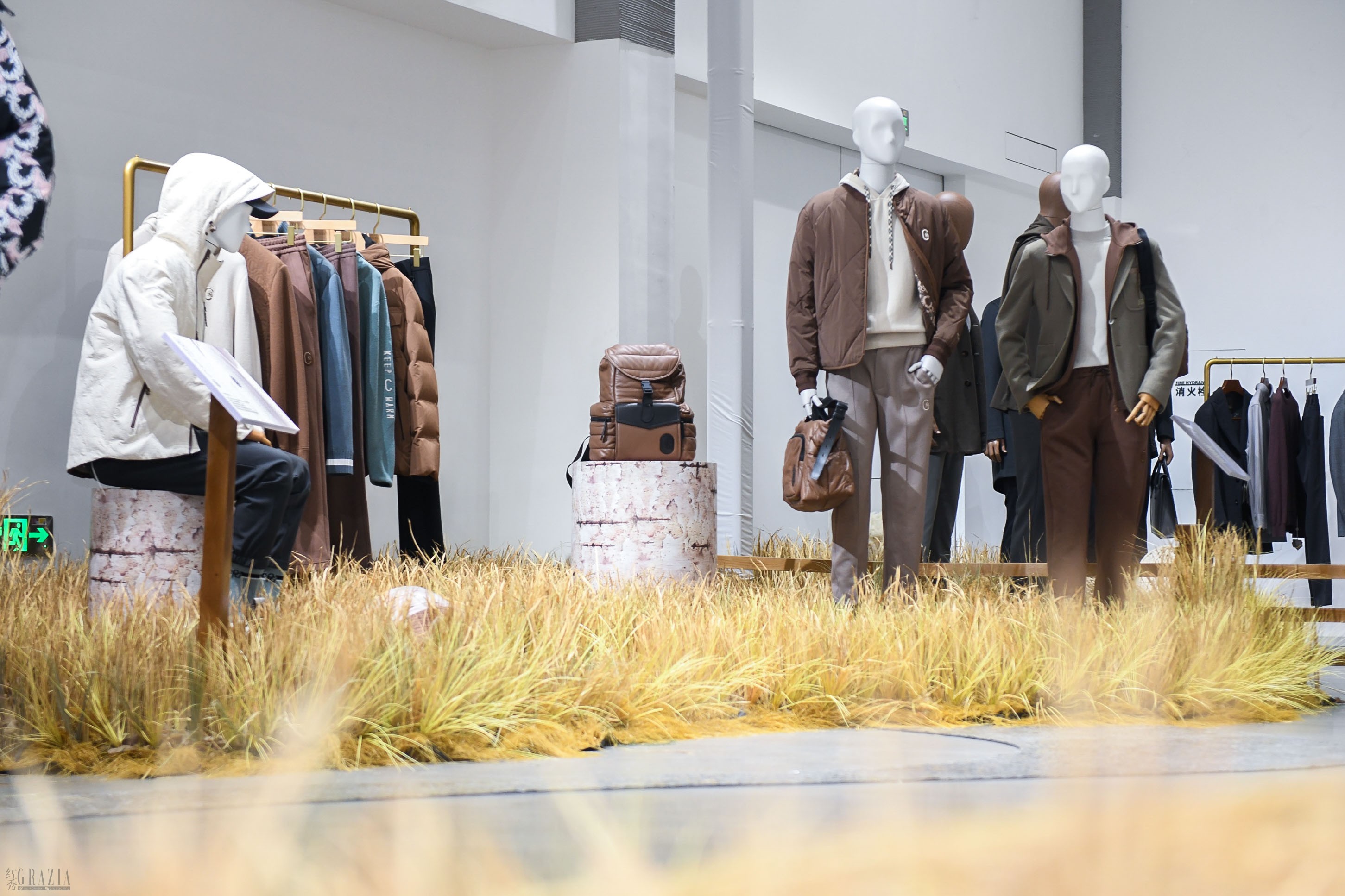 jamor20230821144646.jpeg WechatIMG120595390e51942cb9602114034bff53.jpeg