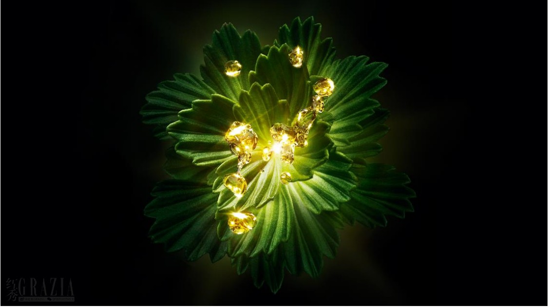 bnqrt20230823170755.png 微信截图_20230823165756.png