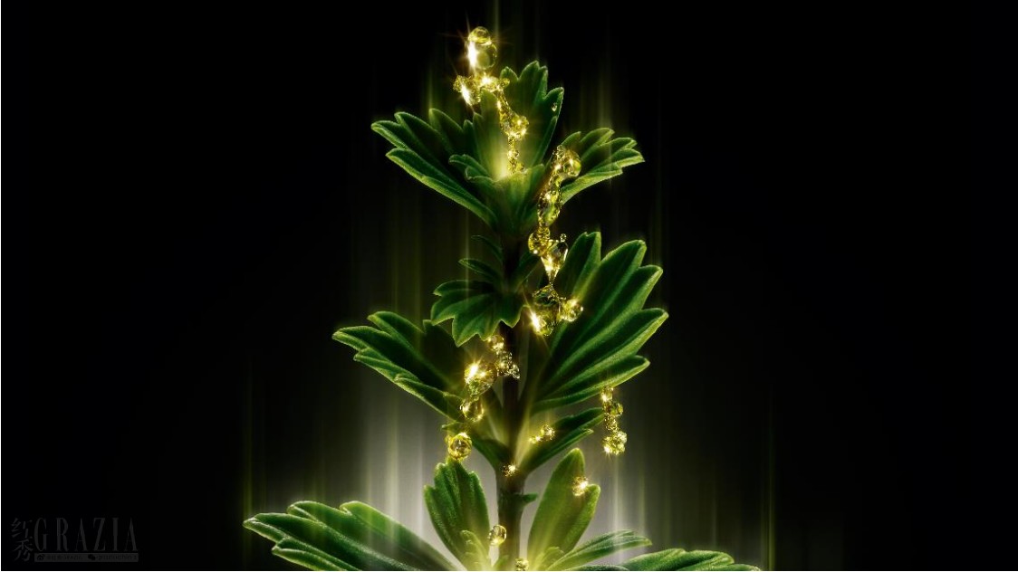 pjree20230823170744.png 微信截图_20230823165740.png