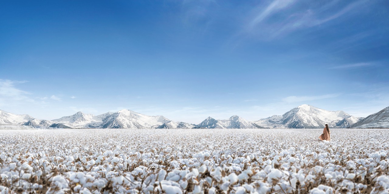 sskdp20230922173412.png 图片58.png