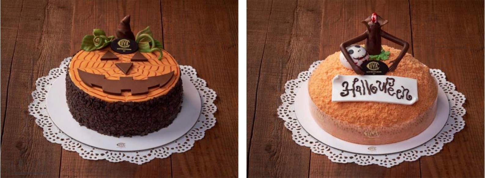 tplxh20231013224315.jpeg AC21E14A-DC97-4229-B088-EB99499FACB1.jpeg