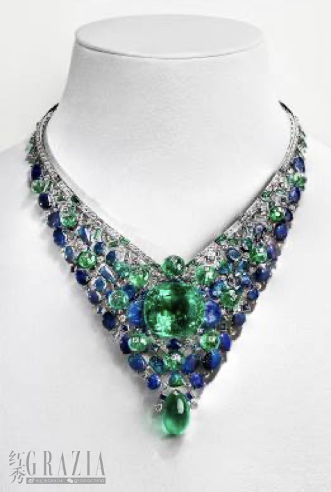 kzzap20231019143724.jpeg 2545950E-2373-43B7-83D9-899AEBCE69A2.jpeg