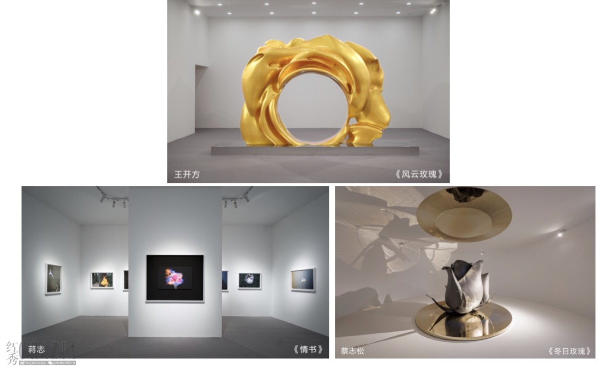 anwgg20231226174401.jpg 9321703583132_.pic.jpg