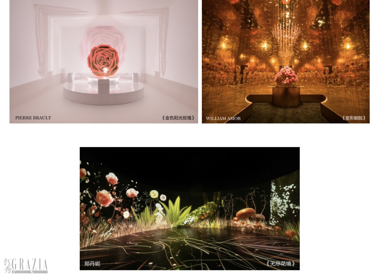 knaxp20231226174654.jpg 9381703583135_.pic.jpg