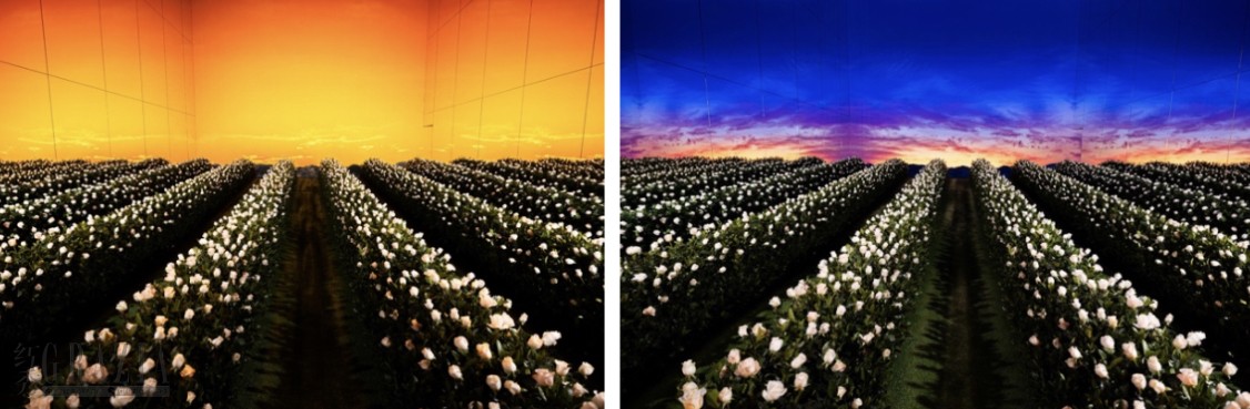 xbadh20231226174324.jpg 9311703583132_.pic.jpg