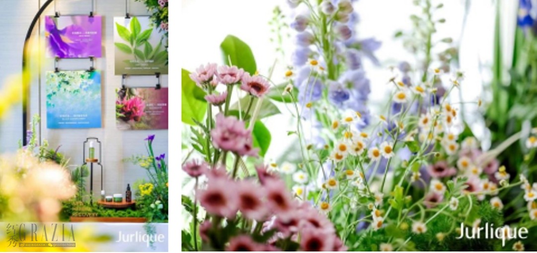 dxgtr20240306151521.png 微信截图_20240306150641.png