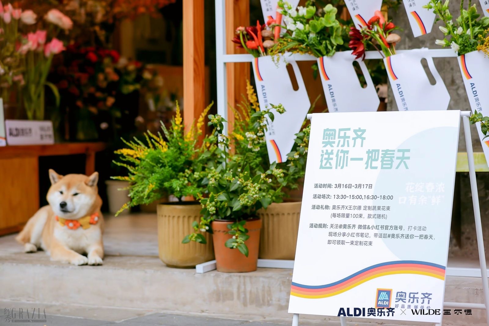 odjqb20240316172631.jpg 微信图片_20240316171539.jpg