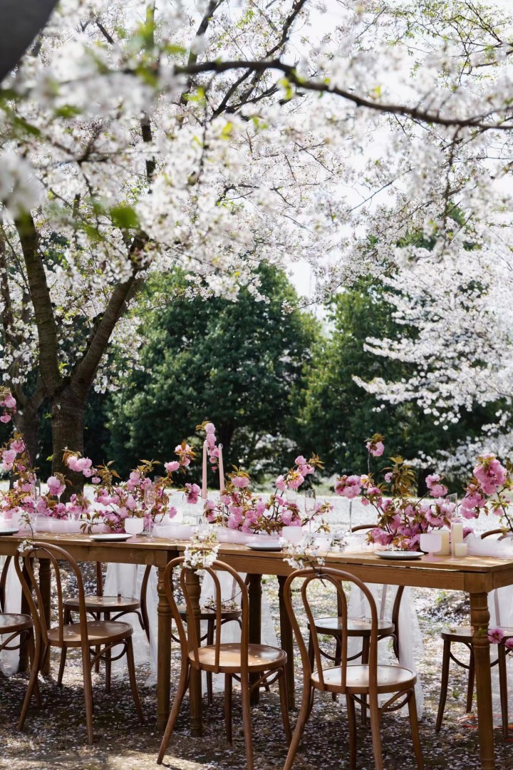 iztlz20240411163222.png 图片 2.png