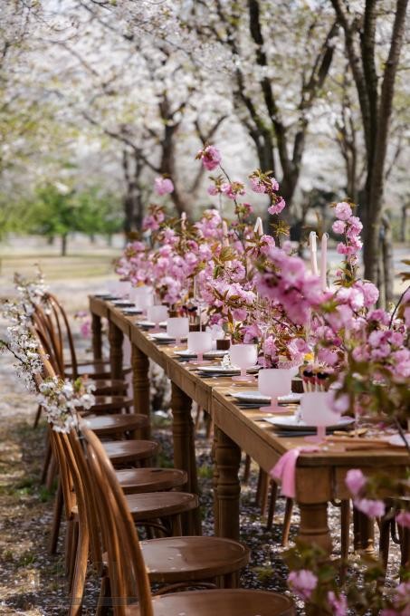 jnuor20240411163954.png 图片 15.png