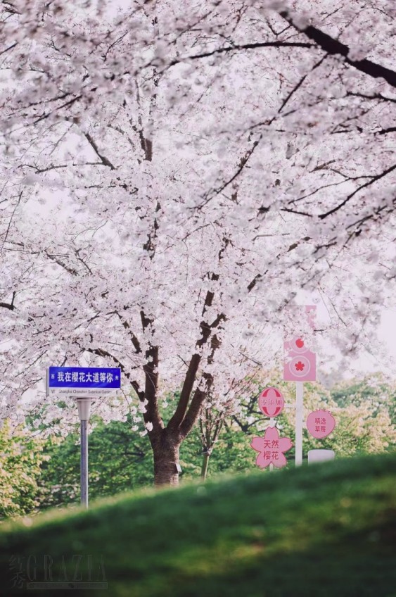 lkueo20240411164034.png 图片 18.png