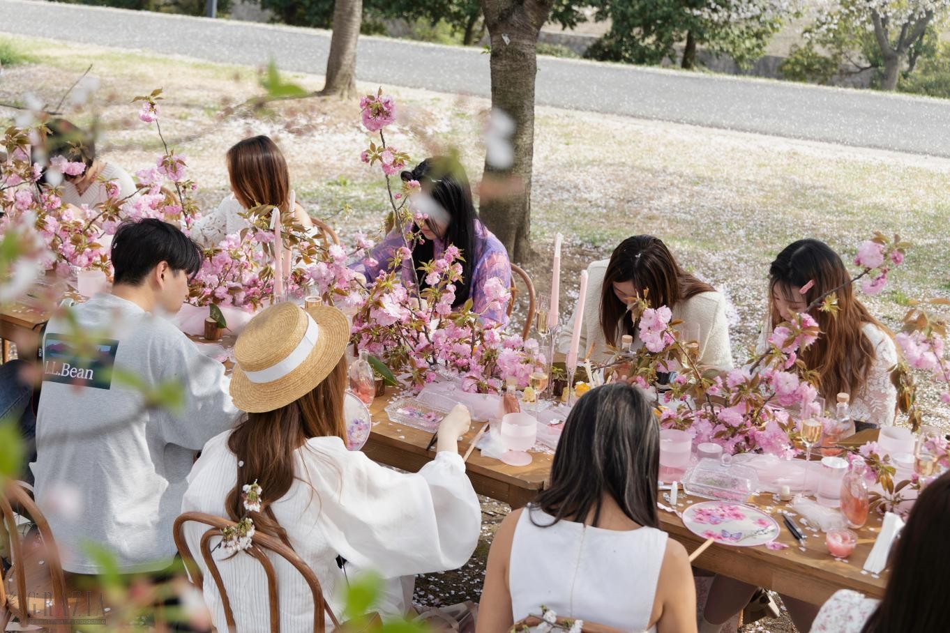 nupcu20240411163917.png 图片 14.png