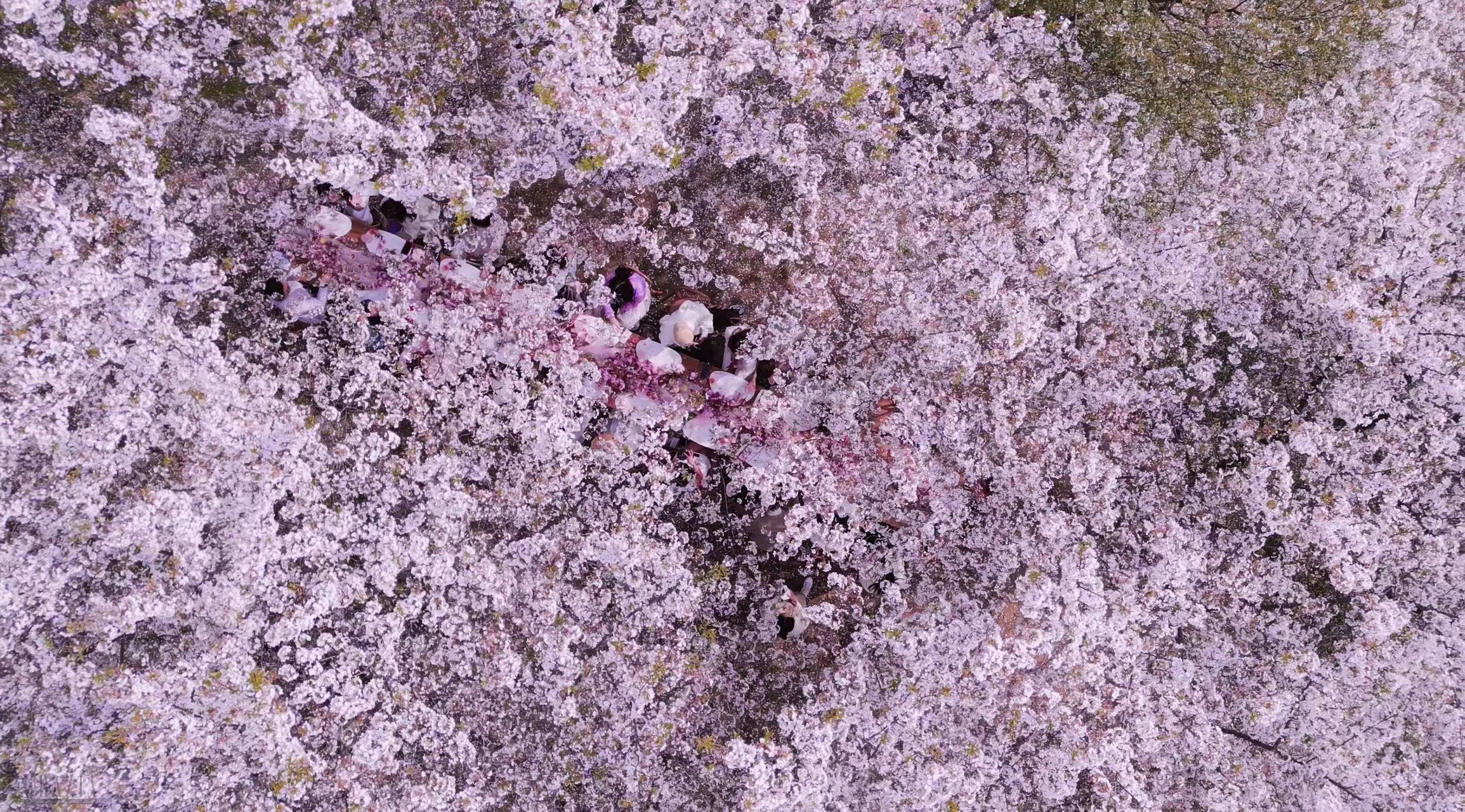 svgum20240411163011.jpg WechatIMG16264.jpg