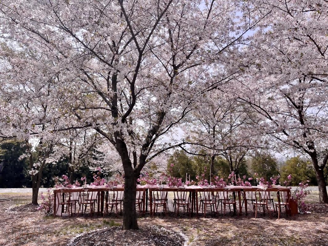 unyob20240411163536.png 图片 5(1).png