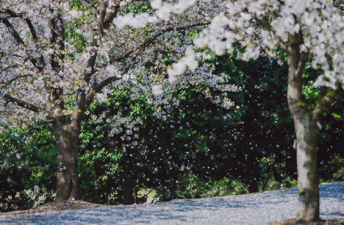 yscls20240411163608.png 图片 6(1).png