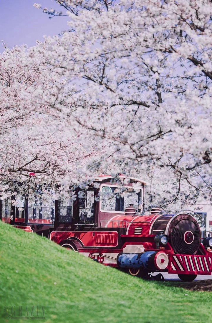 zgzvr20240411164013.png 图片 16.png