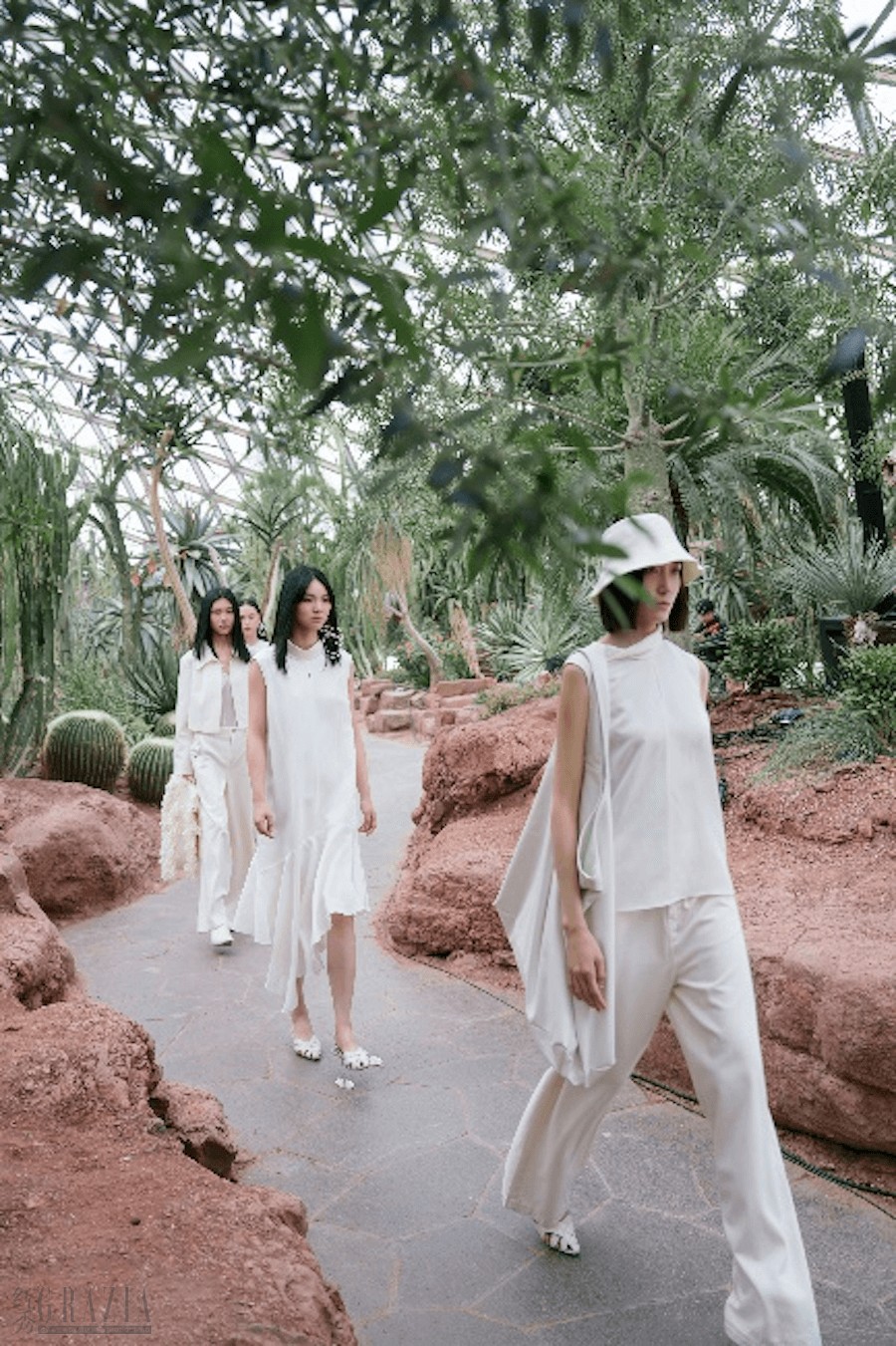 qignc20240428162043.png 图片53-2.png