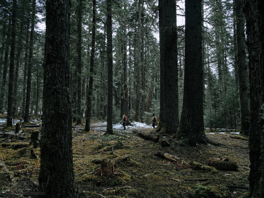 xdtwz20240628180420.jpg 图2 喜马拉雅山脉东部的秘境.jpg