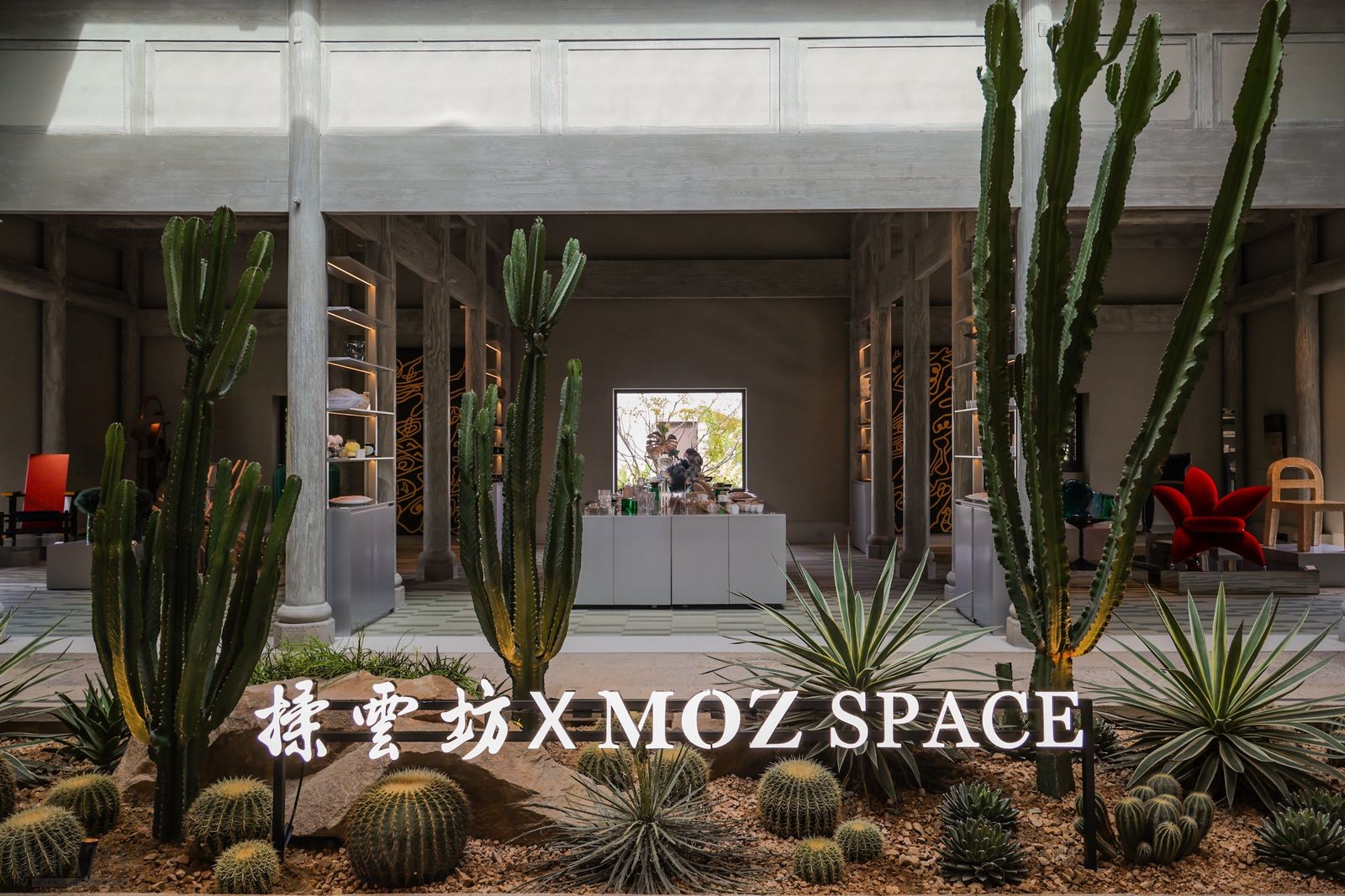 eaydg20241012193400.jpeg WBH8277.JPG_tplv-9lv23dm2t1-resize-animforce-v1_1600_3000_gif.jpeg