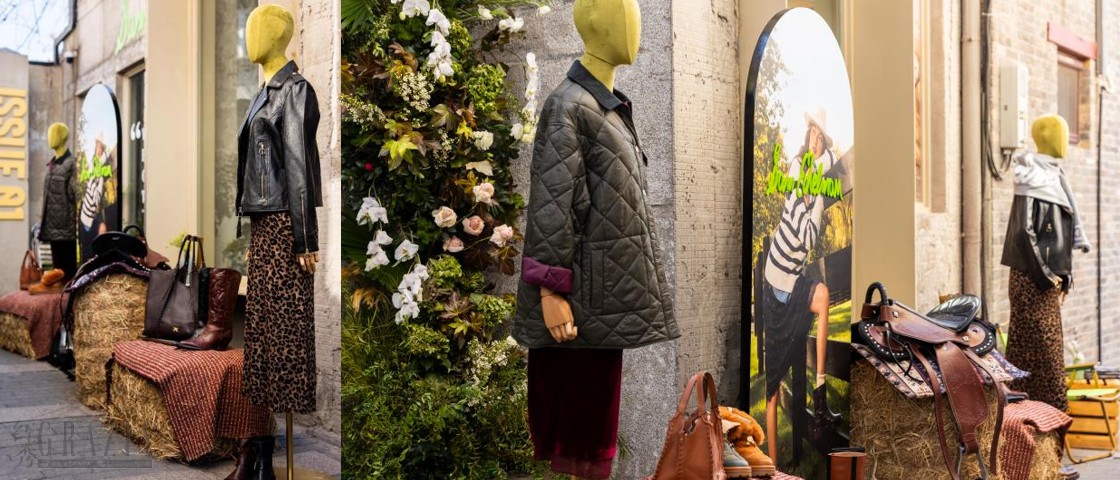 屏幕截图 2025-01-16 132650.png