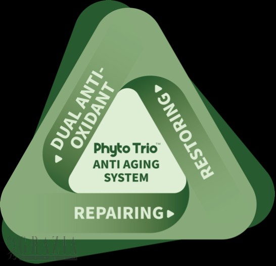 phyto1.png