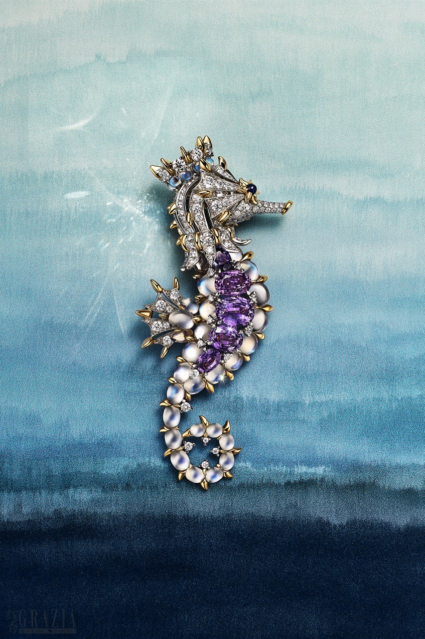 海龙幻舞（Seahorse）主题胸针，来自蒂芙尼2025 Blue Book高级珠宝系列Sea of Wonder瑰海奇珍大.jpeg