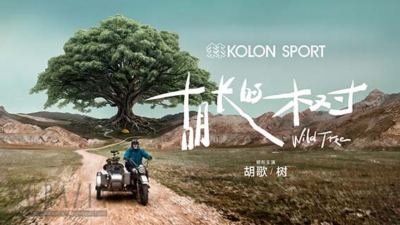可隆户外寓言故事片《胡长的树》.jpg
