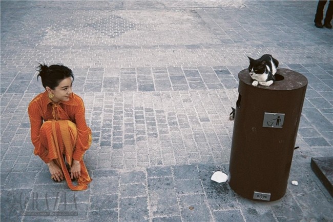 kunos20251122011949.jpg 6.006.jpg