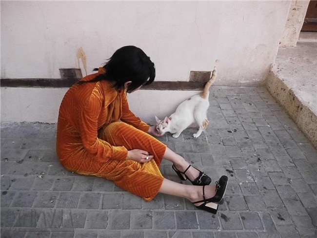 pczbc20251122011942.jpg 5.005.jpg