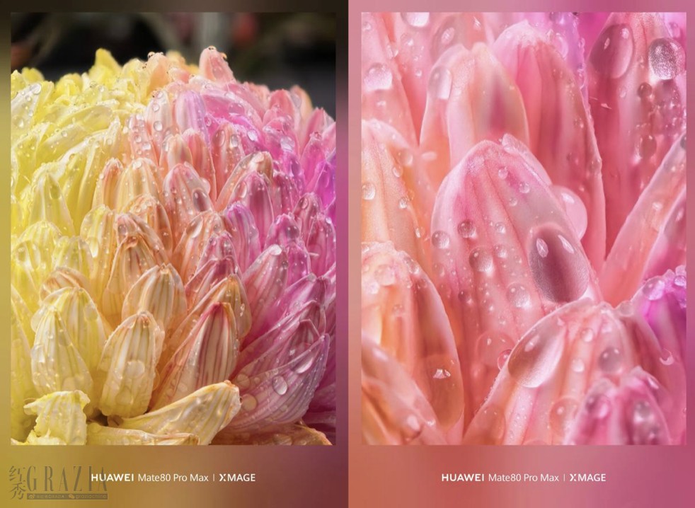 bmbxu20251231141432.png 截屏2025-12-31 14.08.18.png