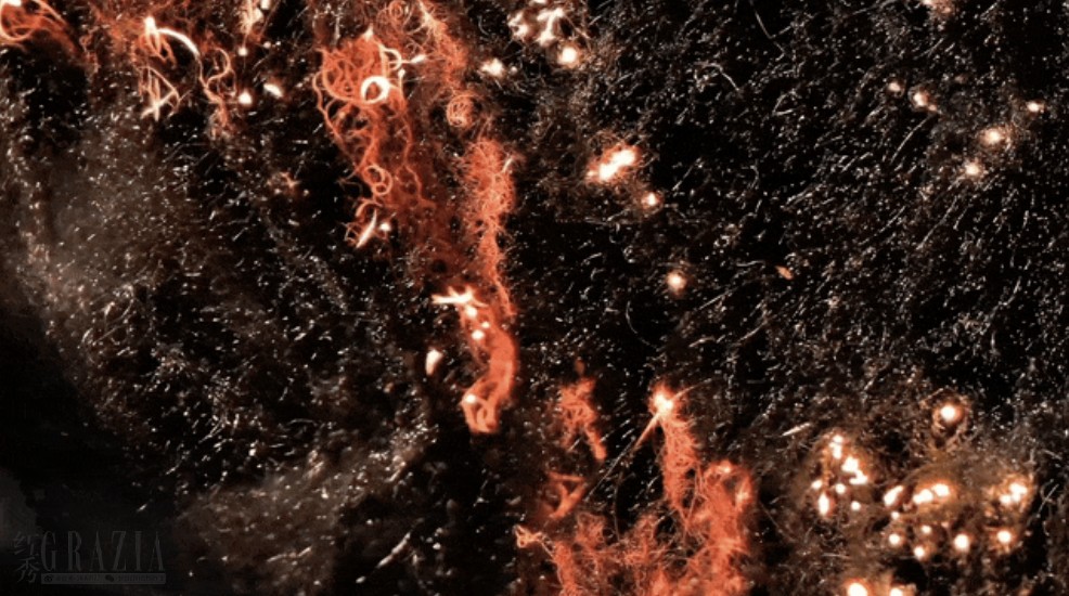 jjceo20251231141451.png 截屏2025-12-31 14.08.38.png