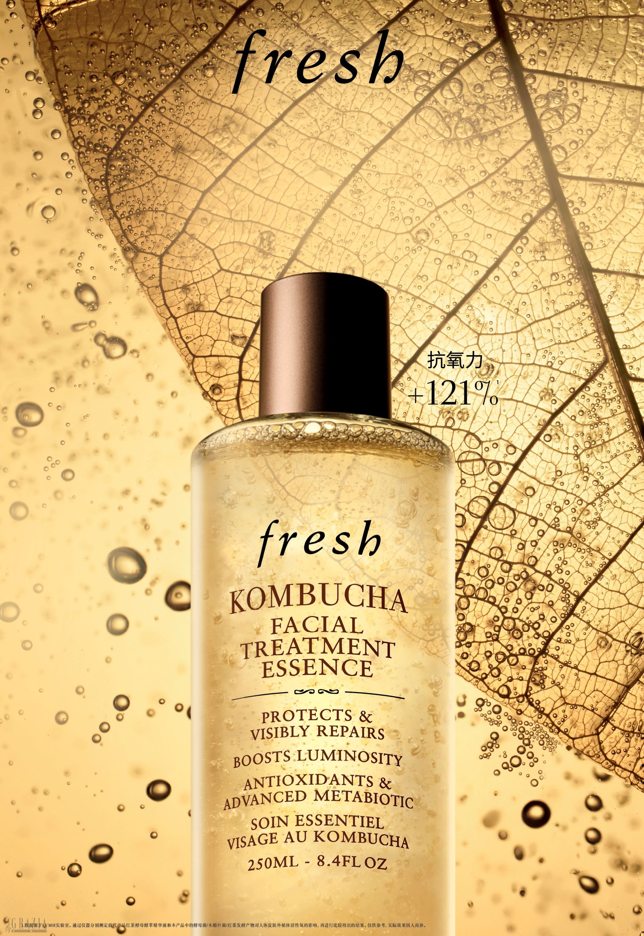dsqvh20260128132127.jpg fresh红茶精华水 KV.jpg