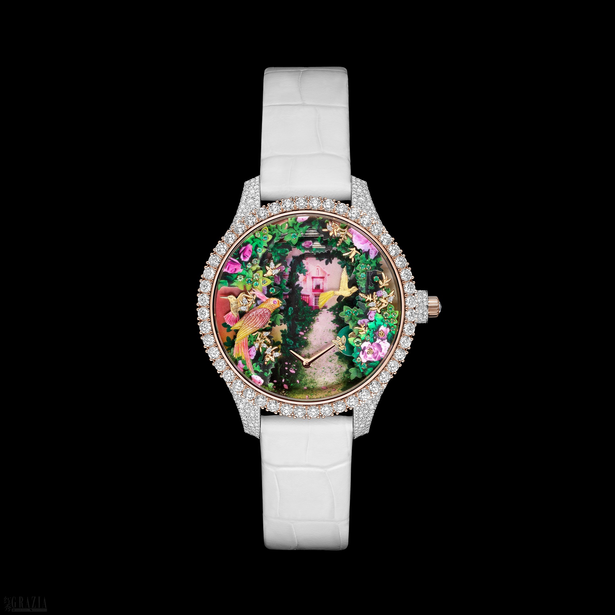 gnspv20260128163622.png 3.png