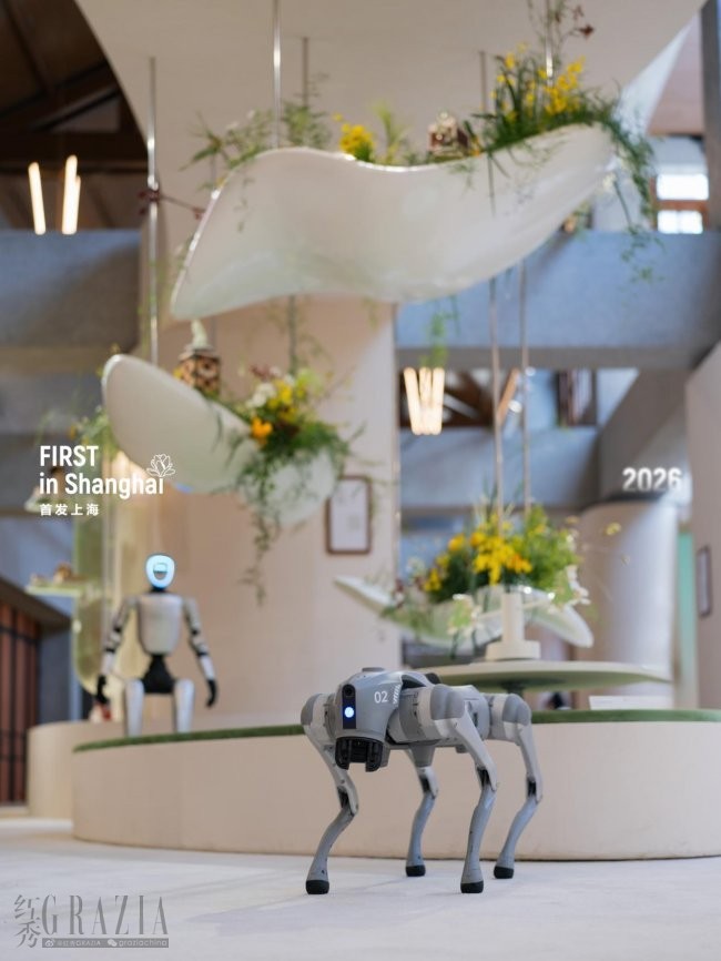 vktzv20260330174552.jpg sh6.jpg