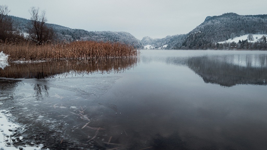 ihtvg20260414183250.jpg 图片49.jpg