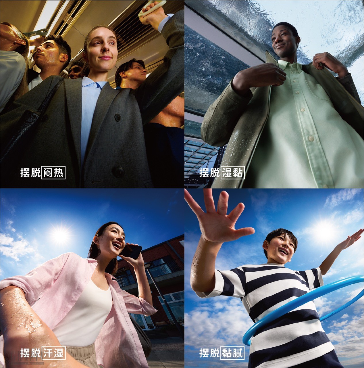 图片1 Large.jpeg